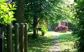 B&B L'Albero Maestro