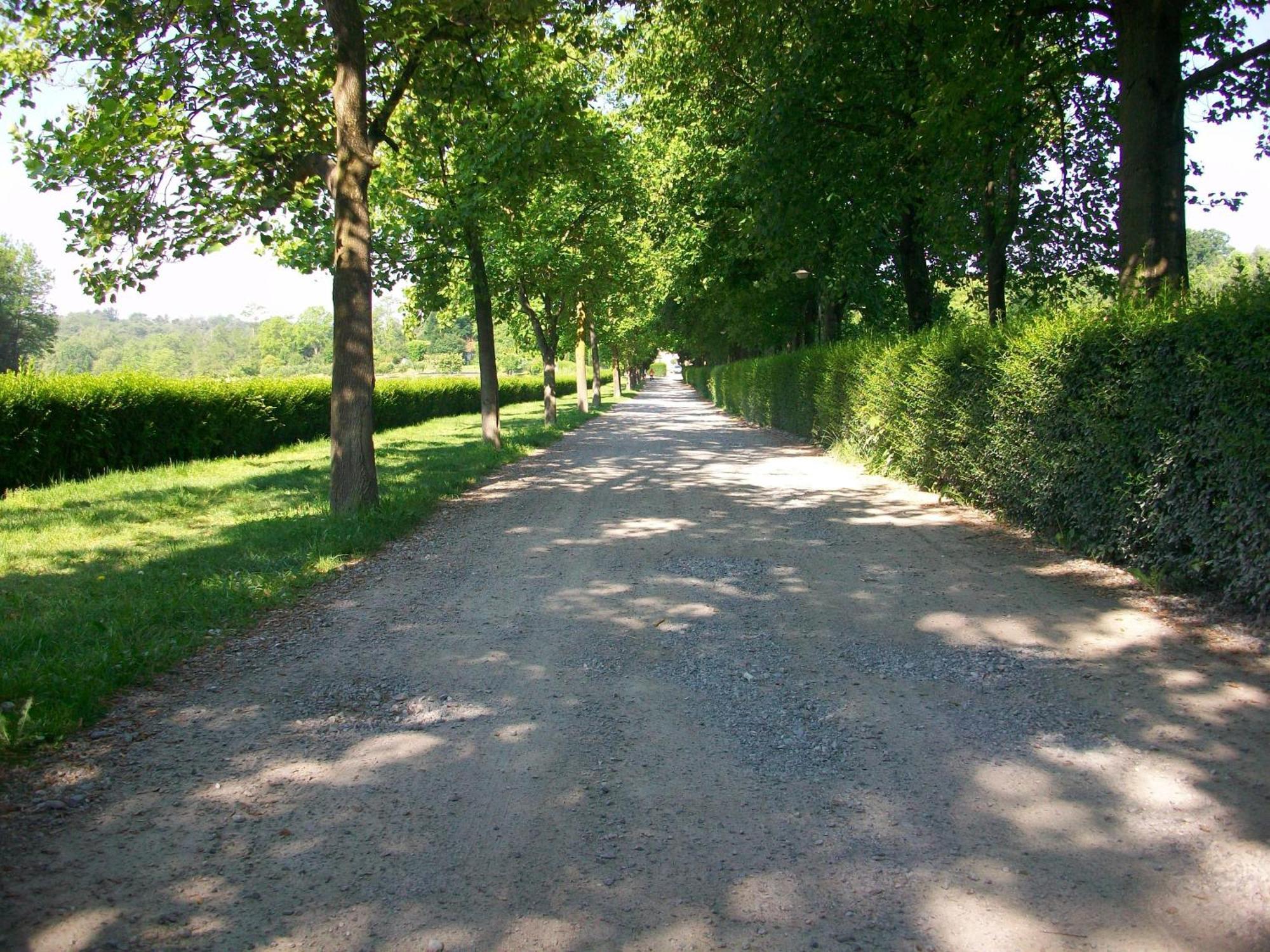 B&B L'Albero Maestro Orsenigo Buitenkant foto